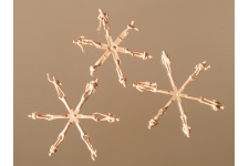 Auhagen 21717 Unpainted Figures 60