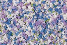 Auhagen 76936 Cornflowers Scatter