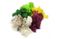 gaugemaster-gm166-assorted-lichen-80g-bag-was-gm166