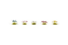 gaugemaster-noch-06800-250-assorted-flowers