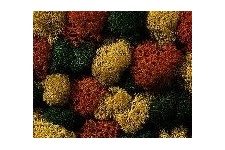 noch-08620-autumn-mix-lichen-75g