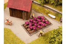 noch-13218-red-cabbage