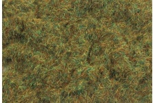 psg-603