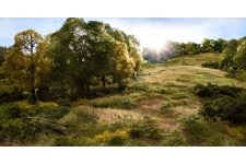 Woodland Scenics FS620 4mm Static Grass Straw Example Layout