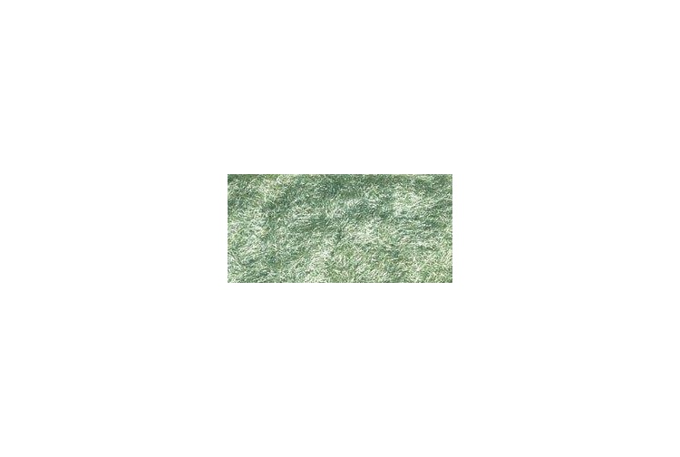 FL634 c 1