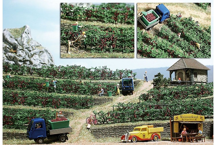 Busch 1200 Grapevine