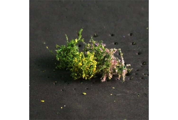 bushes-800x800