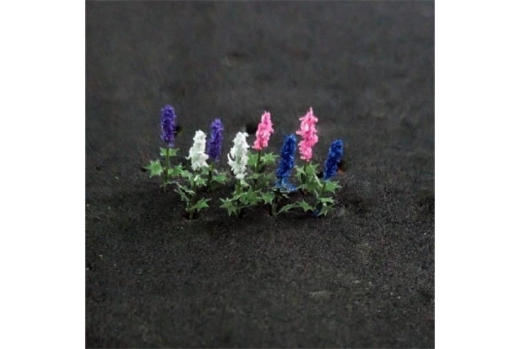 delphinium-elatum-800x800