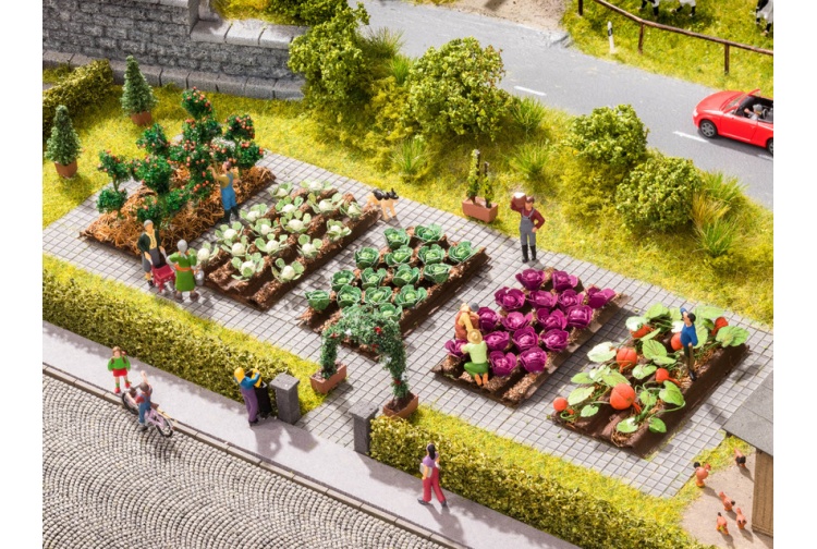 noch-13215-tomato-plants-example-vegetable-patch