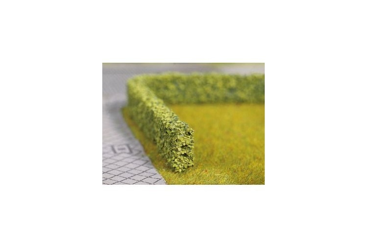 noch-21512-light-green-hedge-ho-oo-tt-n