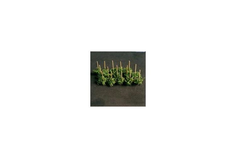 pole-bean-00911-268x176
