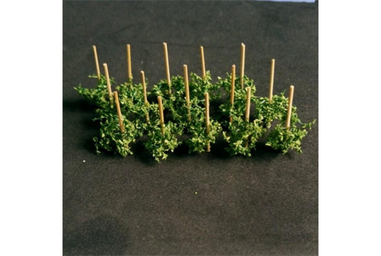 pole-bean-800x800