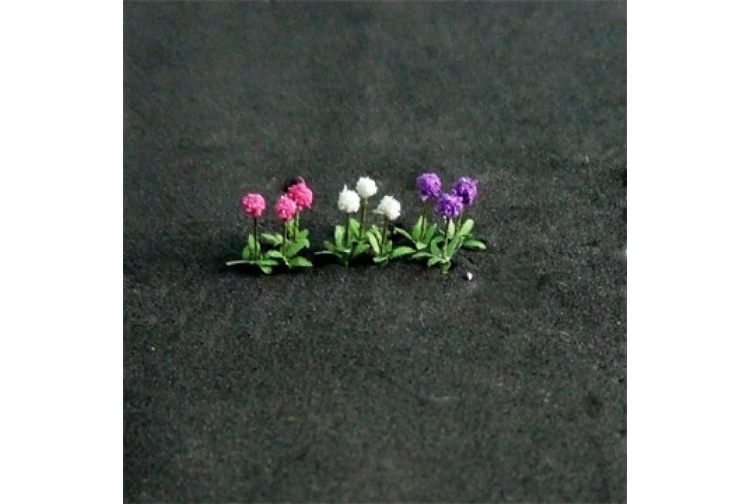primrose-800x800