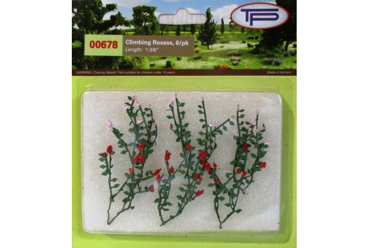 Tasma 00678 Climbing Roses 6 Package