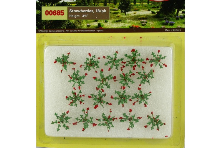 tasma-00685-strawberry-plants-package