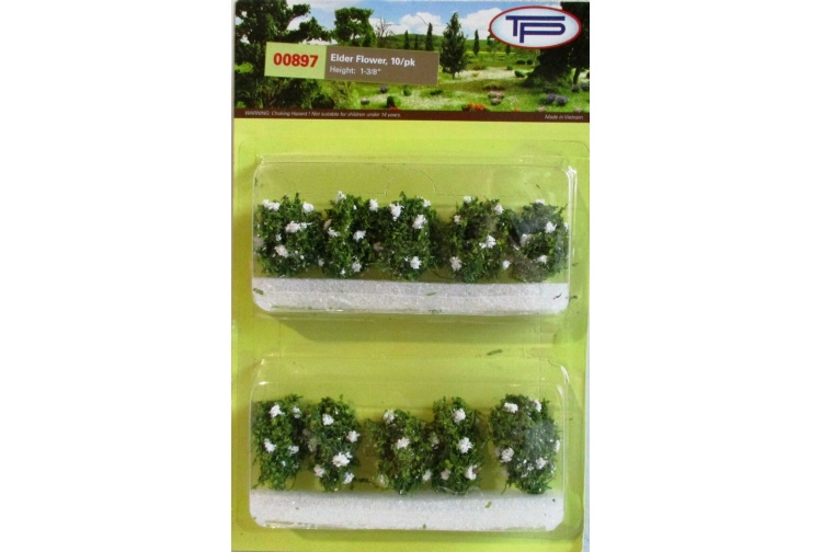 Tasma 00897 Elder Flowers 10 Package