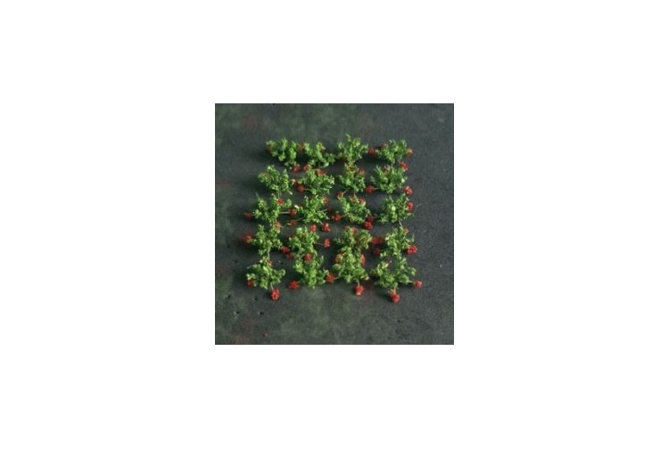 Tasma 00913 Strawberries