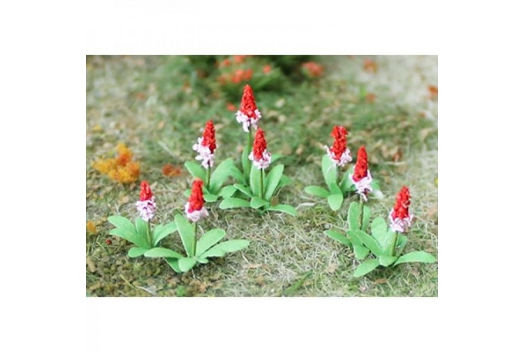 Tasma TAS074205 OO/HO Gauge Primroses