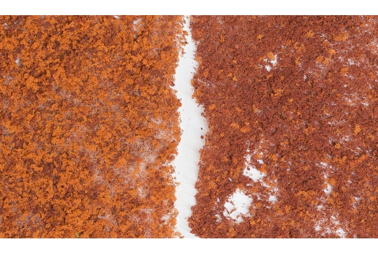 Woodland Scenics F56 Foliage Late Fall Mix