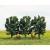 Gaugemaster GM180 Model Railway Scenery Plum Trees (Pack of 3)