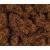Peco-Scene-PSG-404-4mm-Winter-Grass-20g681