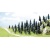 Busch 6492 OO / HO Gauge Budget Pack 35 Fir Trees