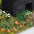 busch-8101-pumpkin-cucumber-lettuce-n-gauge-tt-gauge-kit