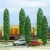 Busch 6228 HO/OO Gauge Railway Scenery Popular Trees