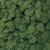 Tasma TAS006311 Lichen 005.125 Dark Green 125G (Er.1025) dark-green-lichen-800x800