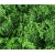 Tasma 00890 Foliage Cluster Light Green
