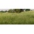 Woodland Scenics FS618 4mm Static Grass Medium Green