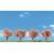 Woodland Scenics WTR3593 Flowering Trees 2-3 Inch